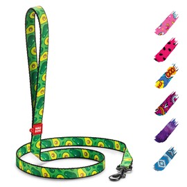 Nylon Dog Leash for Small Dogs and Medium Dogs - Strong Dog Leash for Large Dogs - Heavy Duty Dog Leashes for Large Breed Dogs & Puppy Leash for Small Boy & Girl Dogs