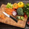 Magiware Paring Knife, Classic 4 inch Ceramic Paring Knife with