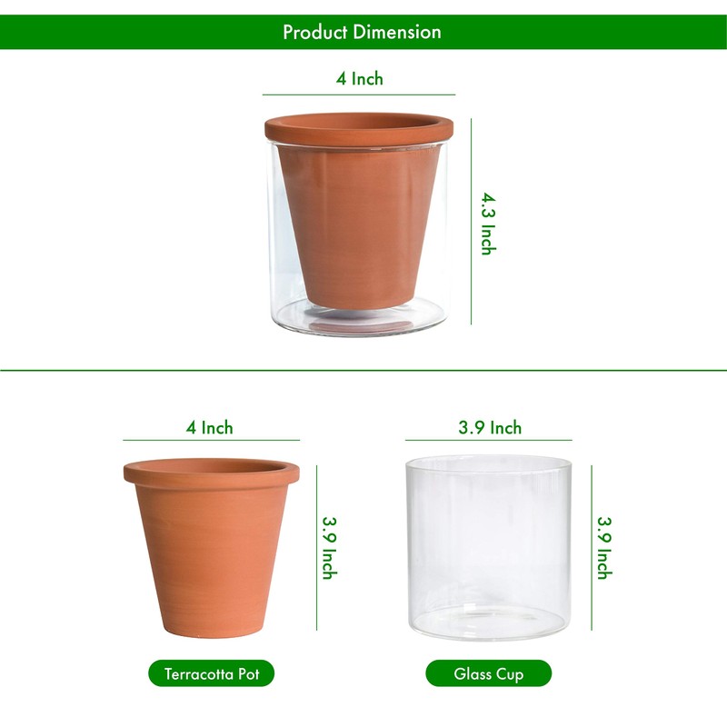 D'vine Dev 4 Inch Design Self Watering Planter for Indoor