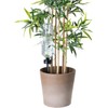 Royal Gardineer Watering Bottle: XXL Plant Watering System, 6 Adjustable