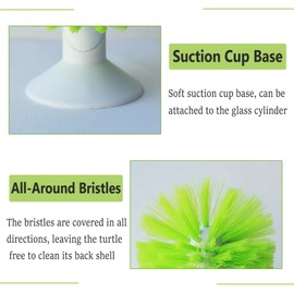 Turtle Scrub Brush, Turtle Scratches Back Brush Turtle Shell Cleaning Brush Red Eared Slider Turtle Exfoliate Brush Tank Suction Cup Brush for Remove Turtle Shell Scutes (Green)
