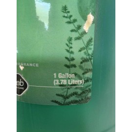 SCJ REFRESH ANTIBAC FOAM DEB SKIN CARE HAND WASH 1 Gallon  CITRUS SCENT