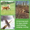Vivifying Floating Long Dog Leash, 32ft Dog Training Leash for