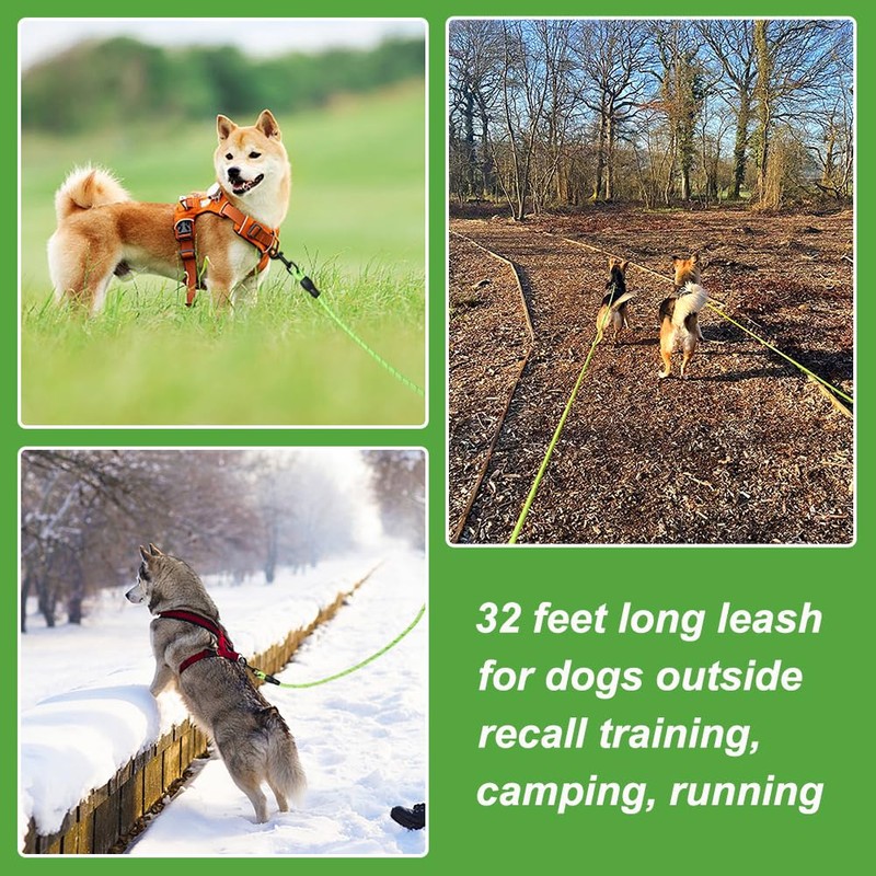Vivifying Floating Long Dog Leash, 32ft Dog Training Leash for
