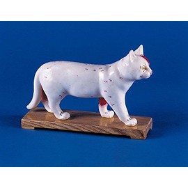 Acupuncture Cat