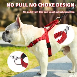 PUPTECK No Pull Dog Harness Small Sized Dog, Adjustable Reflective Pet Vest Harness with Bungee Handle, Escape Proof No Choke Harness for Small Dogs Walking Training, Red S