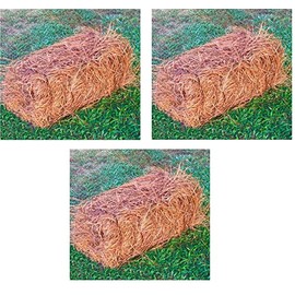USA Pine Straw - Premium Pine Needle Mulch (Pine Needle Mulch - Covers 65-80 Sqft 3 Set)