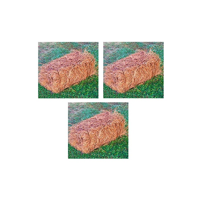 USA Pine Straw - Premium Pine Needle Mulch (Pine Needle