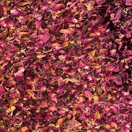 Biodegradable Confetti for Weddings - Burgundy Rose Petals Dried Flower Confetti - 5 LITRES 100% Natural Eco Friendly, Suitable for 50-60 Guests (5 LITRE)