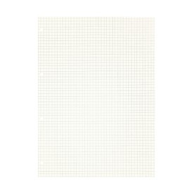 Zelten 2 Pack A4 90 Sheets/180 Pages Squared Loose Leaf Punched Paper Refills Paper for 4 Hole Binder Personal Organizer Diary Notebook Refillable Planner