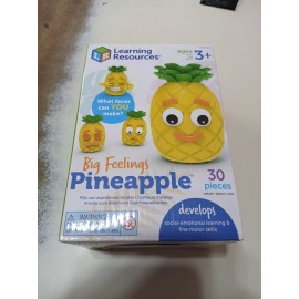 Learning Resources Big Feelings Pineapple Social-Emotion