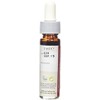 Holy Lama Naturals Spice Drops Ginger Extract 5 ml (Pack