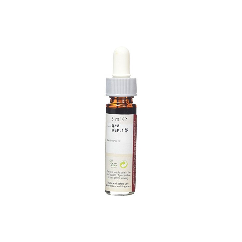 Holy Lama Naturals Spice Drops Ginger Extract 5 ml (Pack