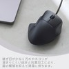 Elecom M-SH30UBSKBK Mouse, Wired Silent, 5 Buttons + Tilt, M,