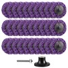 Shineboc Diamond Sanding Discs Set 2 Inch Quick Change Disc