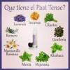 Aceite Esencial Doterra Pasttense 10 Ml Fresco Y Mentolado