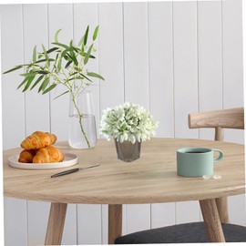 BESPORTBLE 5pcs Transparent Black Plastic Gardening Pots Indoor Flower Containers for Succulents and Orchids Breathable Design with Drainage for Home and Outdoor Use