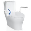 DOZAWA Toilet Safety Rails for Seniors, Heavy Duty Foldable Assist
