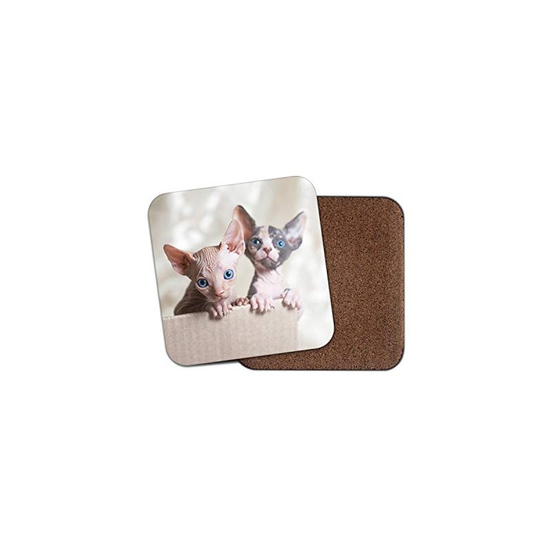 1 x Sphynx Cats Coaster - Cat Kitten Siamese Cute