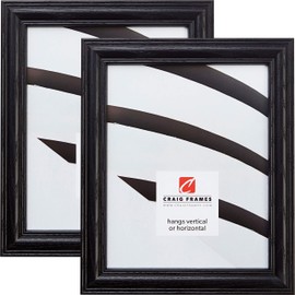 Craig Frames 440BK 16 x 20 Inch Picture Frame, Black, Set of 2