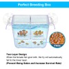 DaToo Fish Breeding Box Aquarium Holding Tank Transparent Fish Isolation