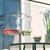 Window Bird Feeder with Strong Suction Cups - Clear Acrylic