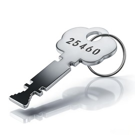 Honkador 25460 Fire Alarm Panel Key, Alarm Box Key for Gamewell,For Fire and Rescue, Silver, with Key Ring