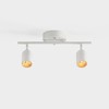 Shura White 2-Light Track Light with Adjustable Heads, Integrated LED
