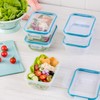 Snapware Total Solution 5-Pack (3-Cup) Plastic Food Storage Containers Set,