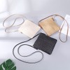 Straw Plait Small One Shoulder Slanted Bag Coin Purses Casual
