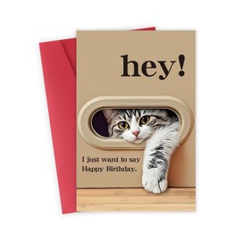FSSDAS Funny Cat Birthday Card for Man Woman, Cat Lovers Birthday Gifts Card Ideal, HEY! I Just Want to Say Happy Birthday Suitable for All Ages