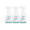 Pure Hard Surface Disinfectant 32 oz with Sprayer - (Pack