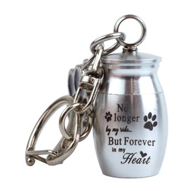 prendre PR-MORIAL Pet Urn Capsule Mini Capsule Key Holder Freestanding Urn Memorial Pet Buddha Nascan Paw Charm, Silver