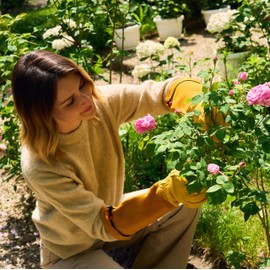 LAUTER SCHUTZ ® Thorn-proof cowhide leather gloves with back seam for freedom of movement and comfort (S, yellow)
