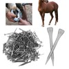 250Pcs High Quality Steel Horseshoe Nails E5 Accessory Horse Supply