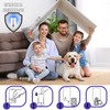 Fly Trap Indoor, Gnat Killer Indoor, Fly Traps Indoor for