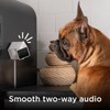 Petcube Cam Pack of 3 Indoor Home Security Cameras with