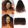 14 Inch Pre Looped Yanky Twists Braiding Hair Fluffy Passion