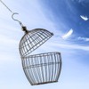 Outus Hanging Chain for Hanging Bird Feeders, Birdbaths, Planters and