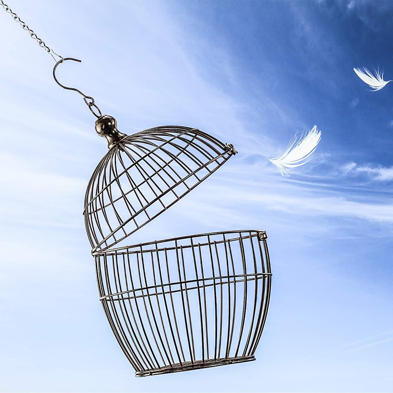 Outus Hanging Chain for Hanging Bird Feeders, Birdbaths, Planters and