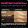 Garnier Garnier Olia Permanent Hair Dye, Ammonia-Free Hair Color, 9.0