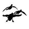 Ducks Comin at Ya’ Duck Hunting Decal Hunting Truck Window