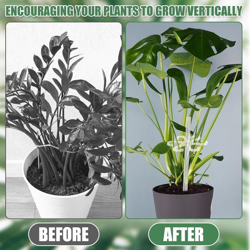 Climbing Houseplant Stem Supports,4Pcs Clear Plastic Flower Plant Growth Stake