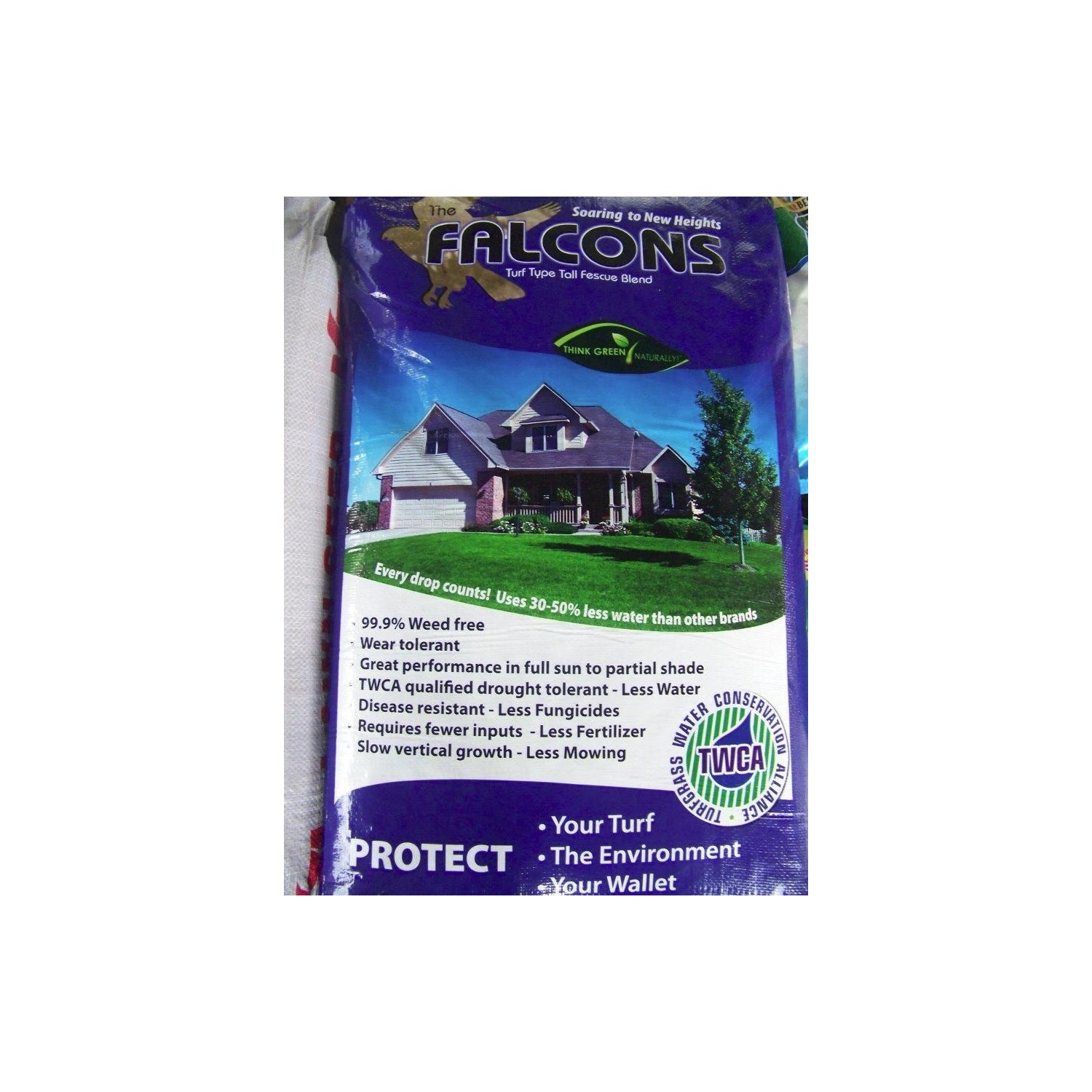 1 lb Falcons Tall Turf Fescue-A Three Falcon Blend Best Lawn Grass ...
