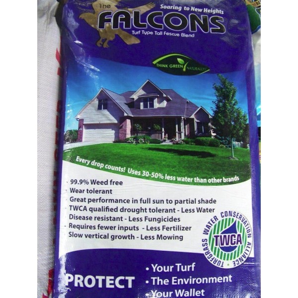 1 lb Falcons Tall Turf Fescue-A Three Falcon Blend Best