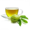 Zokiva Nutritionals Graviola Tea 100 Bags Soursop - Organic Annona