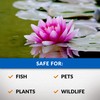 CrystalClear Algae D-Solv Pond Algae Control, Fast-Acting EPA Registered Algaecide,
