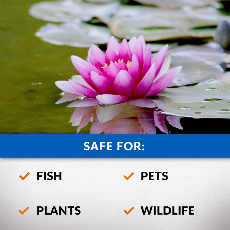 CrystalClear Algae D-Solv Pond Algae Control, Fast-Acting EPA Registered Algaecide,