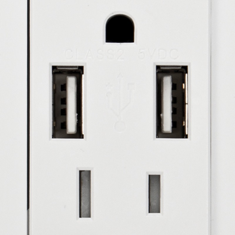 Globe Electric 78147 2-Outlet Child Safe Shock Guard Receptacle, 2