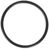 Hayward SPX1495Z1 Union O-ring